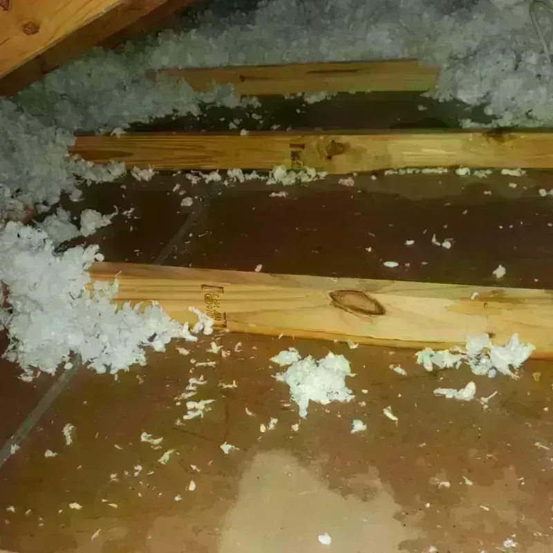 Attic Water Damage in Somerset, WI