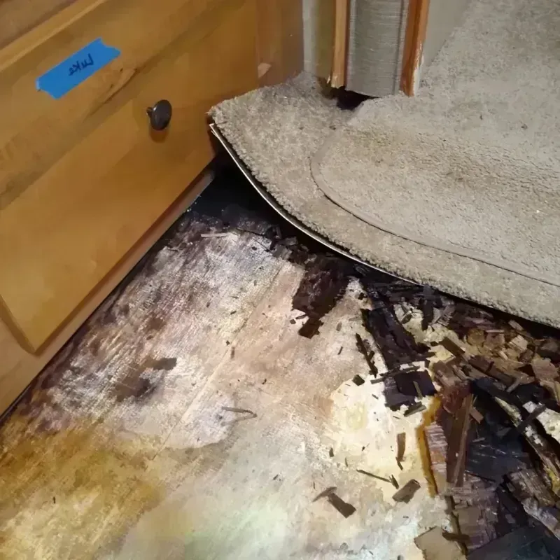 Best Wood Floor Water Damage Service in Somerset, WI